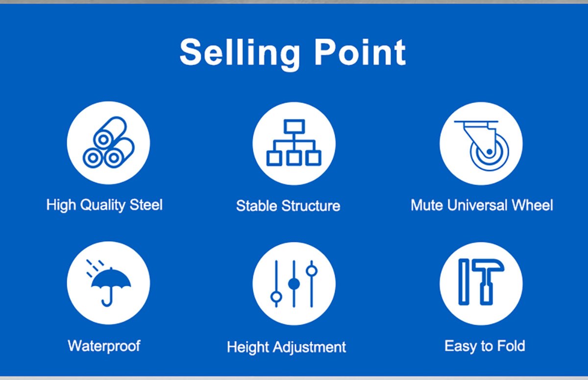 ZW387D Electric Lift Transfer Chair