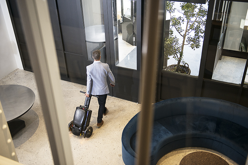 ZW501 Folding Electric Scooter